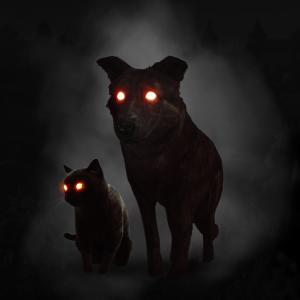 Profile picture for user Dvdram
