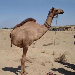Profile picture for user Tore1905