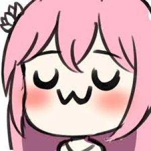 Profile picture for user XLoxuss