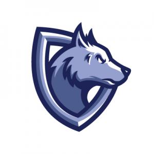 Profile picture for user Niirst